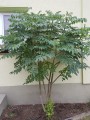 20171021_153835.jpg