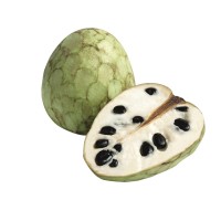 Annona Cherimola - Cherimoya