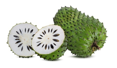 Graviola02.jpg