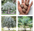 Fotoram.io.png