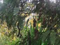 TamarindusIndica04.jpg