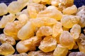 BoswelliaSerrata01.jpg