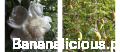 Fotoram.io (1) kopia.png