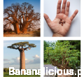 Fotoram.io.png
