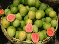 PsidiumGuajava04.jpg