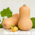 jesienna_aranżacja_dyni_i_liści.png