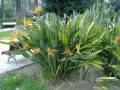 04042012133.jpg