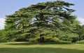 rexfeatures_5231897a_74905442_179295771.jpg
