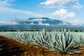 GettyImages-1006105996.jpg